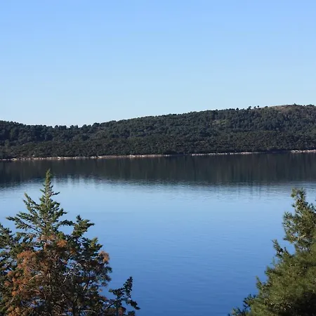 Andrea Appartement *